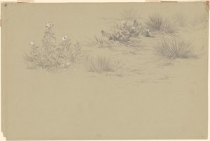 Arbusto florido e plantas do deserto de American 19th Century after John Frederick Kensett