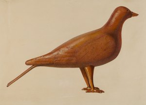 Pomba Isca de American 20th Century