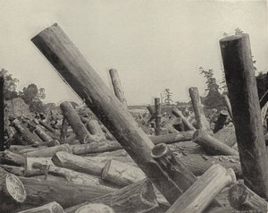 A Log Jam em St Croix River, Wisconsin (foto a p/b) de American Photographer (after)