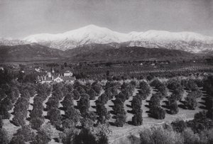 Califórnia: Redlands, de Smiley Heights, sunshine, orange groves, e snowy peaks (foto a p/b) de American Photographer (after)