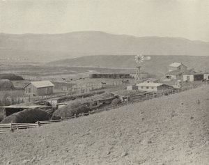 Rancho Montana Horse (foto a p/b) de American Photographer (after)