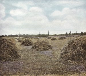 Oregon: Alfalfa (foto) de American Photographer (after)