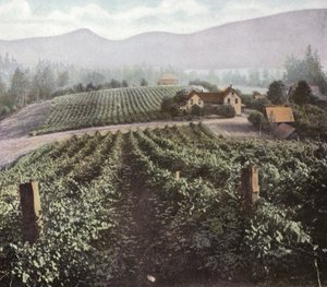 Oregon: Agricultura Diversificada no Vale de Willamette (foto) de American Photographer (after)