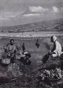 Apanhamento de camponeses apressados no grande desarranjo de vegetais de Suzukawa (foto a p/b) de American Photographer (after)