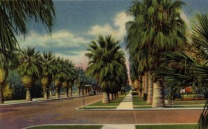Phoenix, Arizona: North Central Avenue (foto) de American Photographer (after)