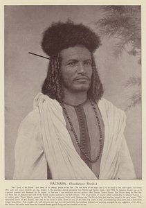 Bachara, xeque sudanês