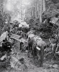 Subindo a Trilha Dyea a caminho do Passo de Chilkoot durante a Corrida do Ouro Klondike (1897-98) (foto a p/b) de American Photographer