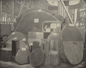 Machado Gladstone de American Photographer