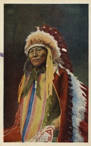 Urso de Chifre Oco, chefe índio Sioux (foto) de American Photographer