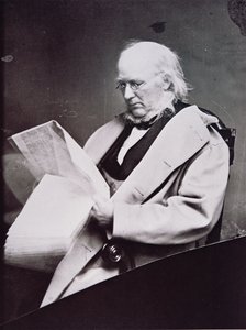 Horace Greeley (1811-72) (foto a p/b) de American Photographer