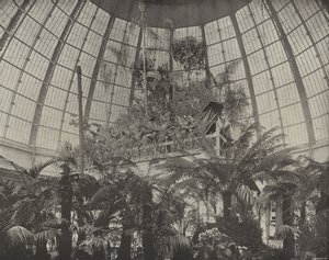 Interior da cúpula hortícola de American Photographer
