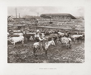 Kansas City, Missouri, EUA de American Photographer