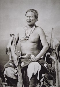 Manuelito (1818-93) chefe do chefe da Nação Navajo 1870-84 de American Photographer