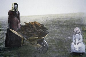 Mulher pioneira coletando esterco de gado, Kansas, c.1880 (foto colorida) de American Photographer