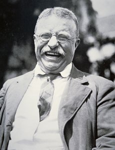 Presidente Theodore Roosevelt, c.1917 (foto a p/b) de American Photographer