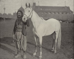 O Steed do Prêmio dos beduínos de American Photographer