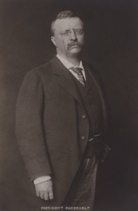 Theodore Roosevelt, 26º Presidente dos Estados Unidos, 1904 de American Photographer