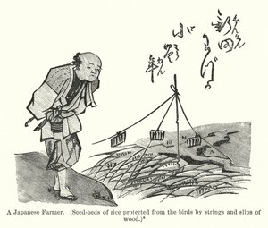 Um agricultor japonês, Sementeiras de arroz protegidas das aves por cordas e escorregões de madeira (gravura) de American School