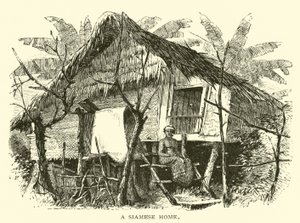 Uma casa siamesa de American School