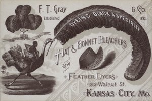 Anúncio para F T Gray, branqueadores de chapéu e touca e tintureiros de penas, Kansas City, Missouri, EUA (litho) de American School
