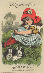 Propaganda para JD Larkin & Cos Boraxine, 1882