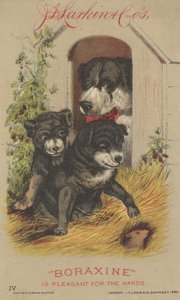 Propaganda para JD Larkin & Cos Boraxine, 1882 de American School
