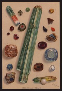 Gemas americanas (litografia a cores) de American School