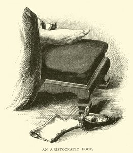 Um pé aristocrático de American School