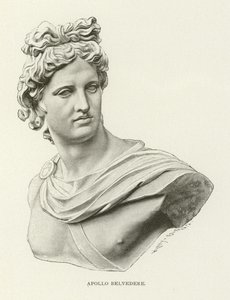 Belvedere Apollo de American School
