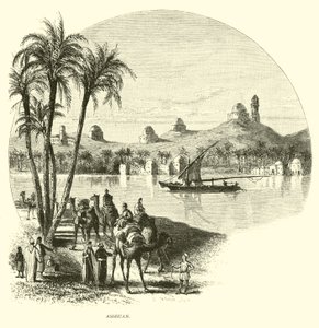 Aswan de American School