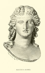 Bacchus, Roma de American School