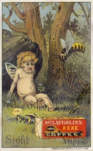 Abelha atacando putto de American School