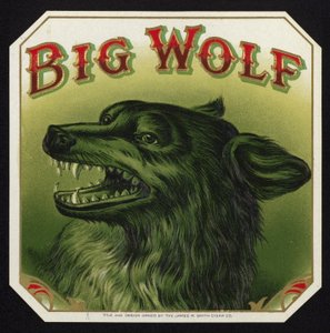 Lobo preto descobrindo os dentes de American School