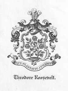 Folheto do Presidente Theodore Roosevelt (1858-1919) (impressão) de American School