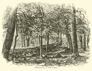 Trabalho de peito na floresta, julho de 1863 de American School