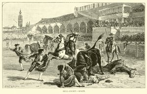 Luta de touros, Espanha de American School
