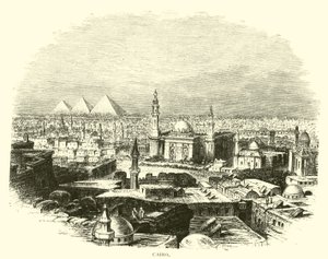 Cairo de American School
