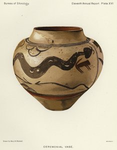 Vaso cerimonial (cor litho) de American School