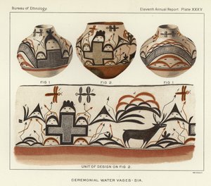 Vasos de água cerimoniais - Sia de American School