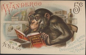 Charles Darwin, teoria do desenvolvimento (ou seja, evolução) de American School
