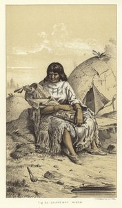 Viúva Chippeway de American School
