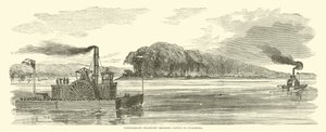 Transporte confederado trazendo gado para Vicksburg, em fevereiro de 1863