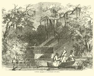 Algas de algodão em Southern Swamps, julho de 1862 de American School