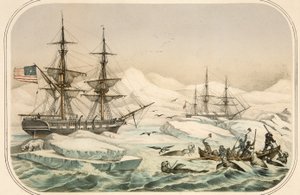 Tripulação de um navio baleeiro a ser atacada por uma morsa, pub. (litografia a cores) de American School
