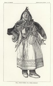 Boneca, mulher indiana, vestido cheio, Nenenot de American School