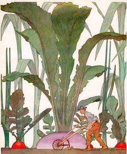Agricultor a cultivar legumes gigantescos na horta de American School