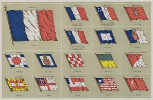 Bandeiras de American School