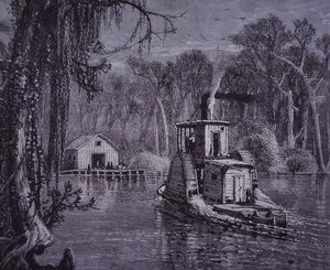 cenário dos Everglades na Florida de American School