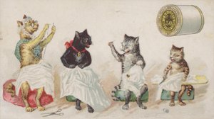 Costura de quatro gatos ocupados de American School