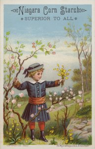 Menina, segurando, grupo flores, em, campo de American School